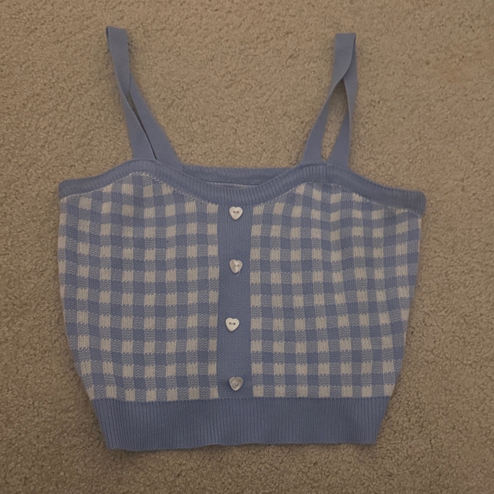 Blue Gingham Knit Crop Top